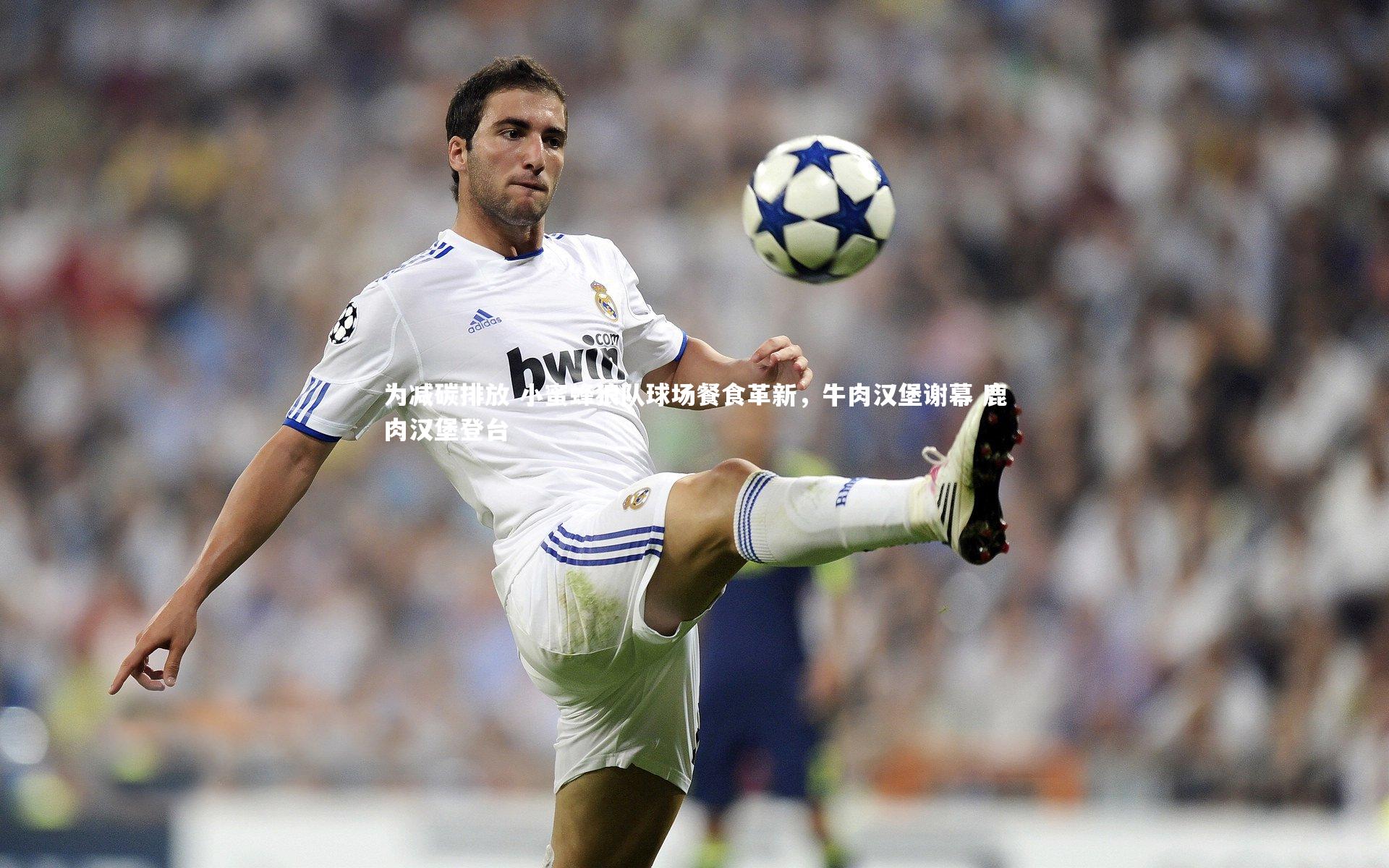 九游会j9-为减碳排放 小蜜蜂狼队球场餐食革新，牛肉汉堡谢幕 鹿肉汉堡登台